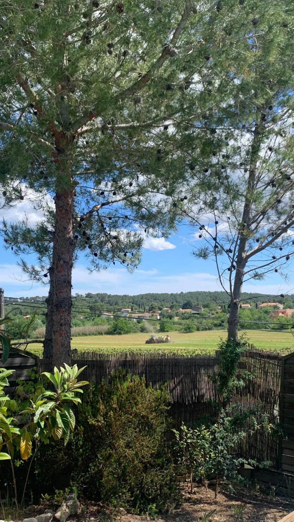 Villa En Bordure De Colline*Piscine*Clim*Netflix Les Matelles Exteriér fotografie